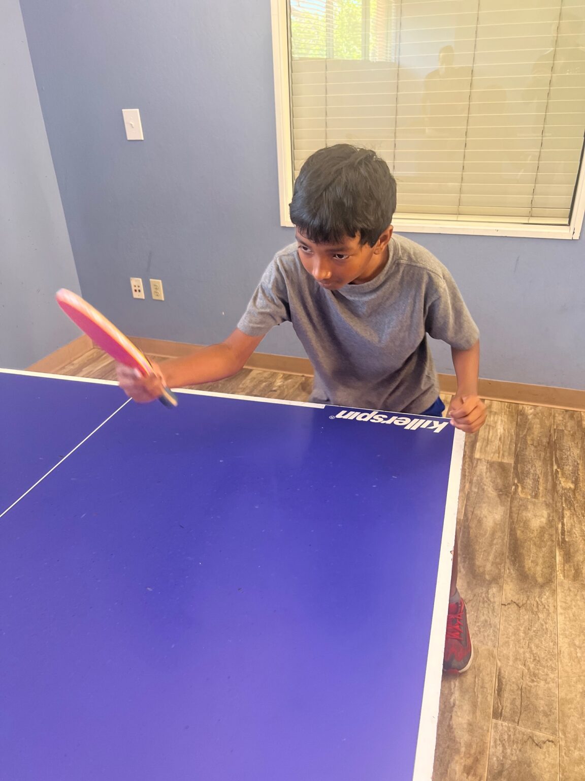 Group Lessons TriValley Fremont Table Tennis