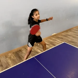 Winter Ping-Pong Camp in Tri-Valley in San Ramon