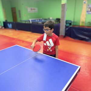 Weekday Table Tennis After-School Program in Fremont