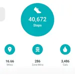 Tanishq’s Fitbit on final day of 2023 Nationals