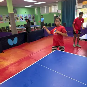 Thanksgiving Ping-Pong Camp